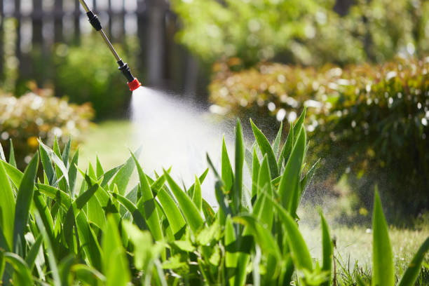 24/7 Emergency Mosquito Control experts in Cottleville, MO